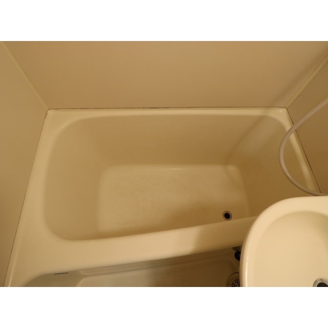 前回募集時の画像です